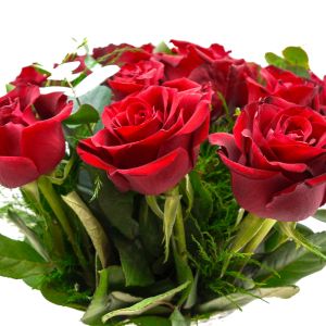 12 Luxury Red Roses