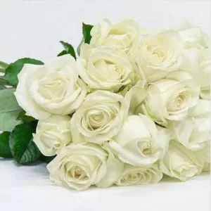Morning Star Bouquet