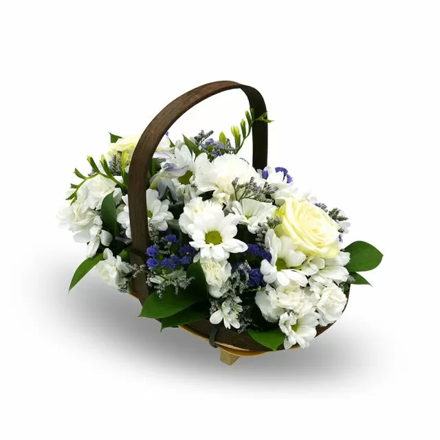 Amazing White Lilac in Basket