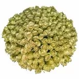 200 Luxury White Roses 