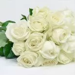 Morning Star Bouquet
