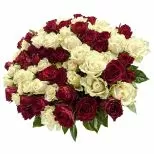101 Luxury Red and White Roses