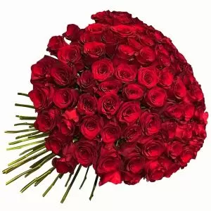 101 Luxury Red Roses