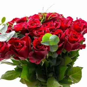 24 Luxury Red Roses