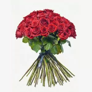 Long Stem Red "Naomi" Rose Bouquet