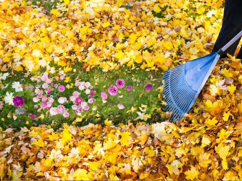 Autumn hand tied bouquet