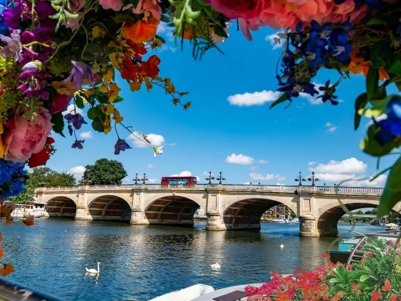 Flower delivery to Kingston-upon-Thames – plus tips for a regal day out