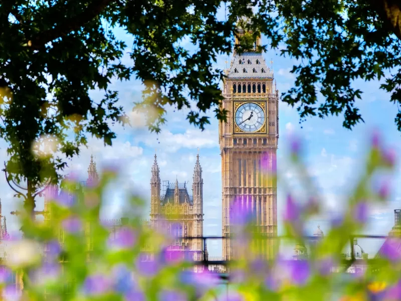 Big Ben in London with flowers in the foreground