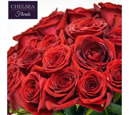 Long Stem Red 'Naomi' Rose Bouquet