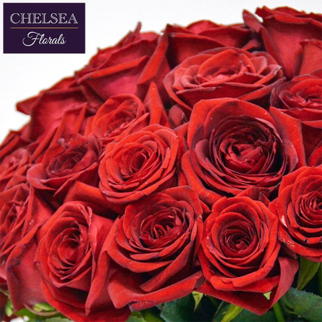 Long Stem Red 'Naomi' Rose Bouquet